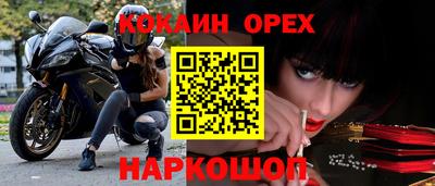 шишки Боровичи