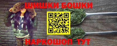 шишки Боровичи