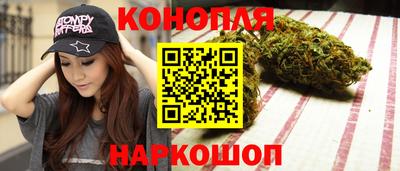 шишки Боровичи