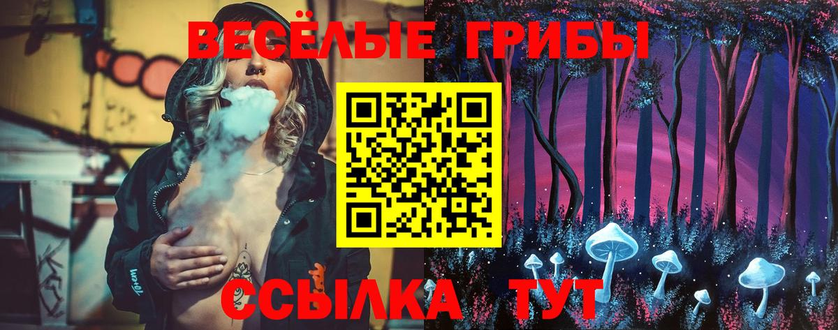 Зеленодольск  Галлюциногенные грибы Cubensis  Вход с VPN 